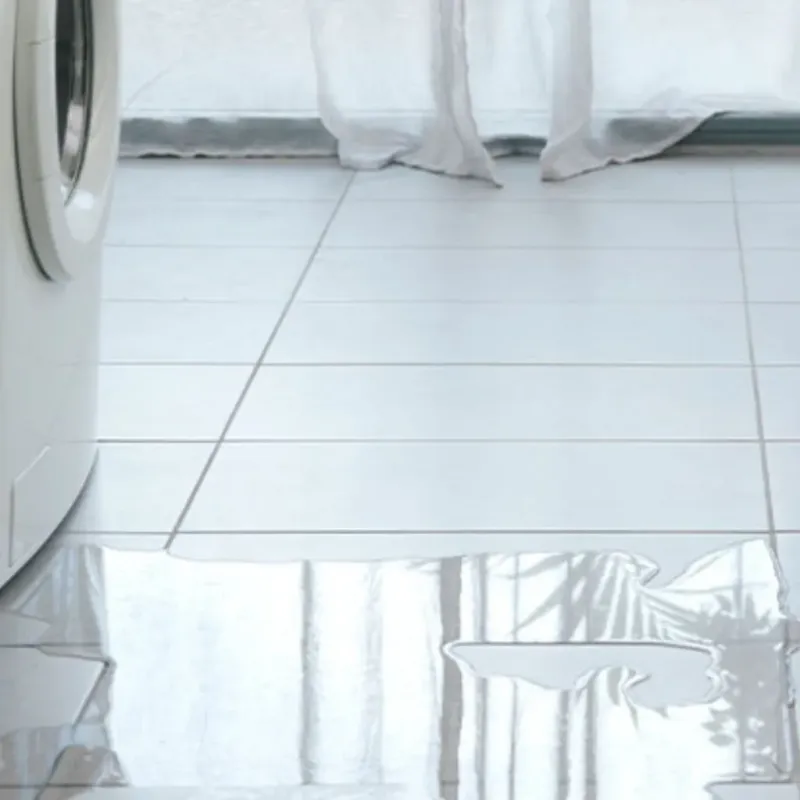 Appliance Leak Cleanup in Elkton, VA