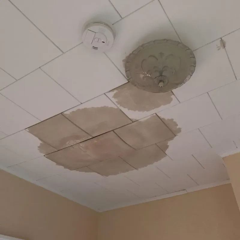 Ceiling Water Damage Repair in Elkton, VA