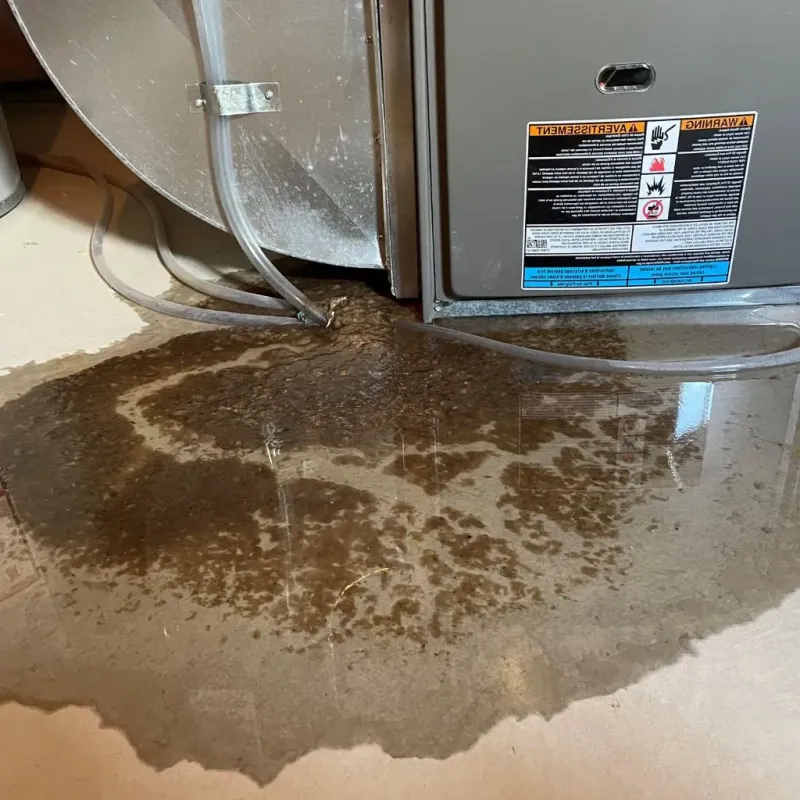 Pipe Burst and Leak Restoration in Elkton, VA