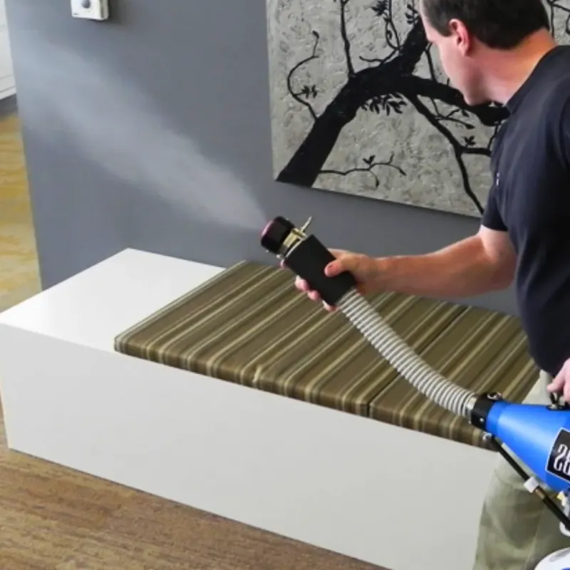 Professional Odor Removal in Elkton, VA