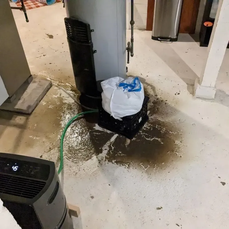 Sewage Backup Cleanup Service in Elkton, VA